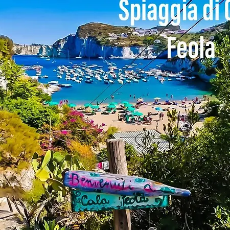Ponzamania Il Pescatore * Ponza